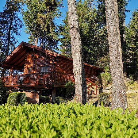 Cerro Cumbrecita Villa La Cumbrecita Ngoại thất bức ảnh